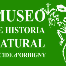Museo nuevo LOGO verde